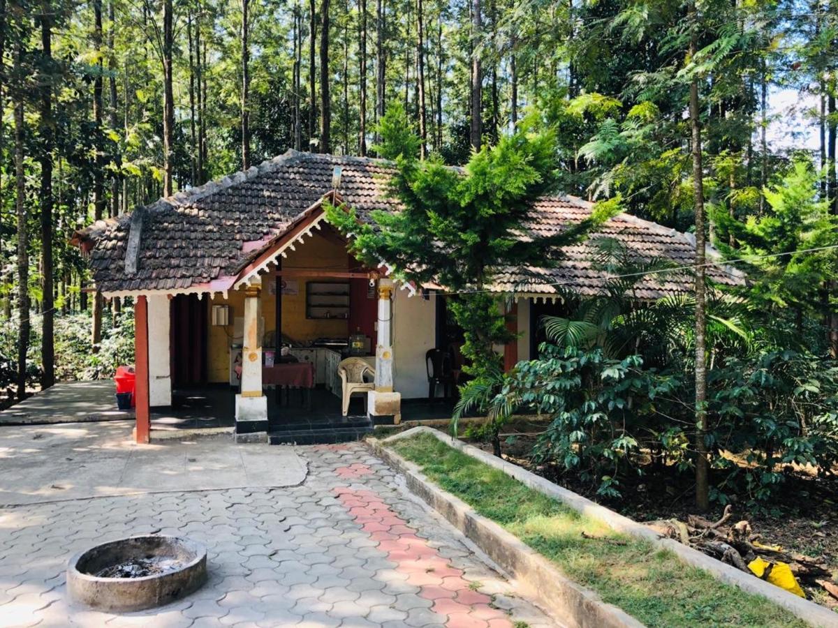Silver Shadow Homestay Chikmagalur Exterior photo
